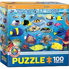 Animal Charts - Tropical Fish