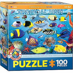 Animal Charts - Tropical Fish
