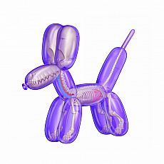 4D Balloon Dog Anatomy Model - Purple