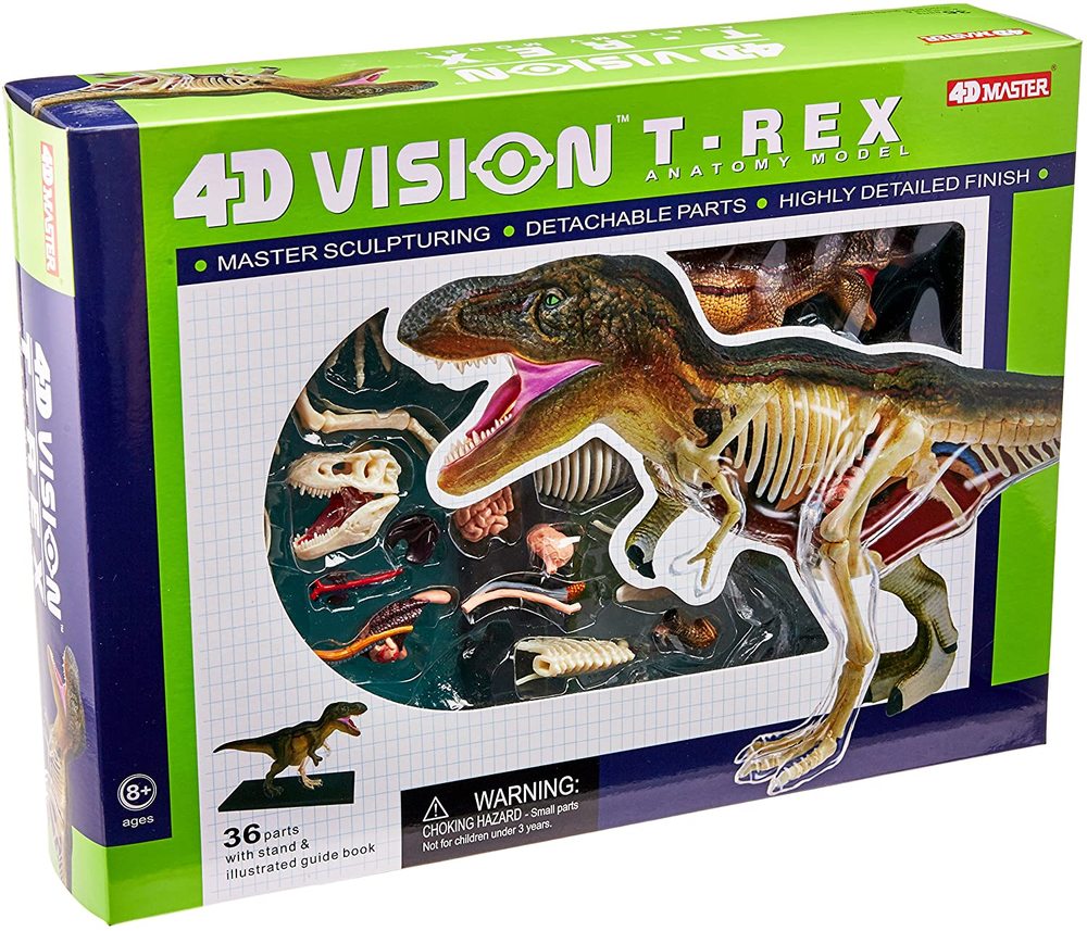 t rex anatomy