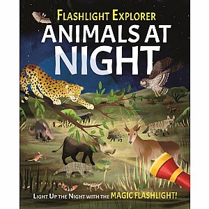Flashlight Explorers: Animals at Night