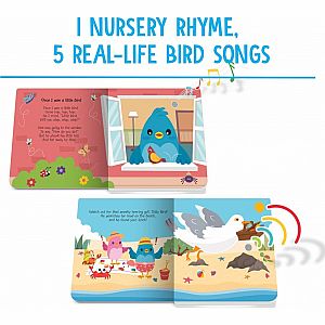 Ditty Bird Bird Songs