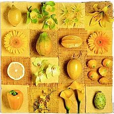 Exotic Fruits & Flower 500-pc Jigsaw Puzzle Set