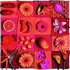 Exotic Fruits & Flower 500-pc Jigsaw Puzzle Set